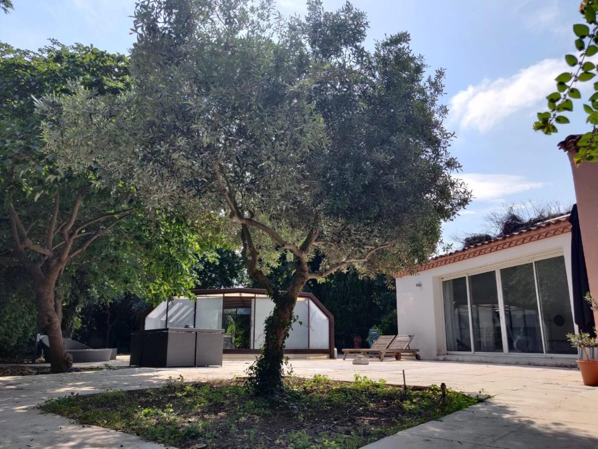 Villa Muscat, Piscine Chauffee & Spa Frontignan Exterior foto