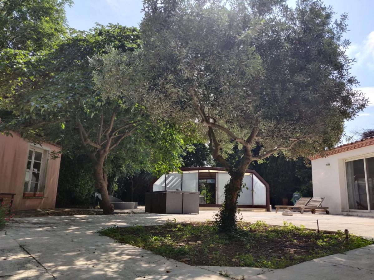 Villa Muscat, Piscine Chauffee & Spa Frontignan Exterior foto